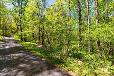 TBD Whispering Woods Path, Mars Hill, NC 28754 - photo 5