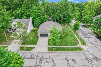 Overhead View