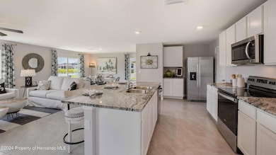 30830 Wild Juniper Ct, Brooksville, FL 34602 - photo 3