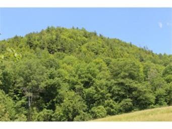 0 E Cobble Hill Rd unit 4851437, Barre Town, VT 05641 - photo 3