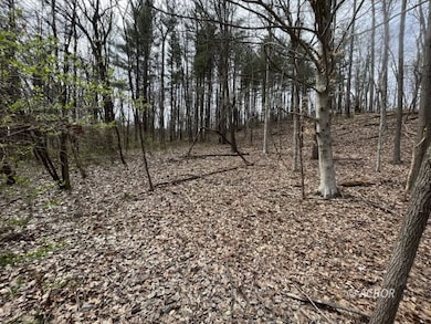 Wooded property