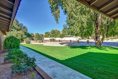 Front Home Grass Area