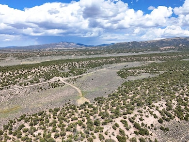 Mc Caskill Rd, Fort Garland, CO 81133 - photo 7