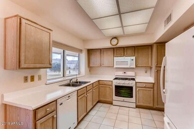 13548 W Pavillion Dr Sun City-small-010-