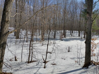 IMG_20240225_132411650_HDR (1)