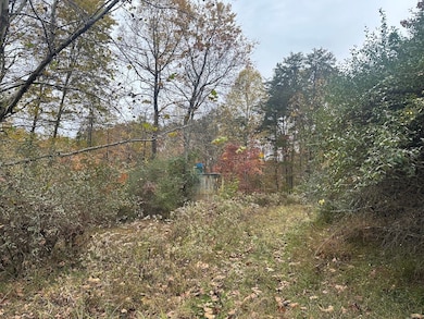 0 Jericho Rd unit 25758594, Walker, WV 26180 - photo 6