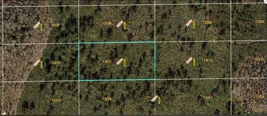 0 Dill Rd unit MFRO6231990, Orlando, FL 32820 - photo 2