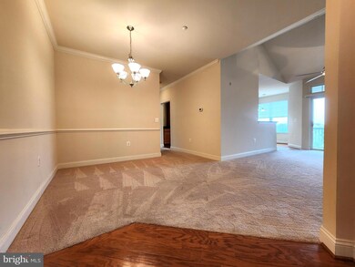 311 Tiree Ct unit 402, Abingdon, MD 21009 - photo 4