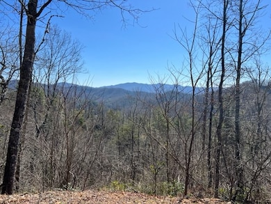 Lot 4 Mystic Ridge Way W, Topton, NC 28734 - photo 5