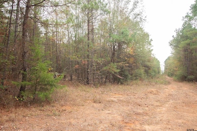 TBD County Road 169d, Kilgore, TX 75662 - photo 4