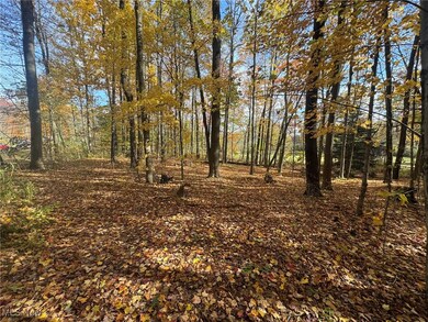View of tree filled area