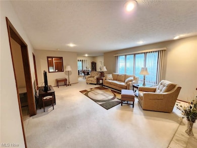 Living room featuring light colored carpet and a textured ceiling