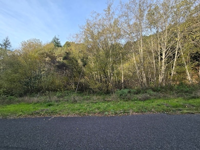 00 & 000 Wolverine Way, Whitethorn, CA 95589 - photo 3