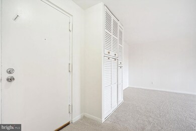 3100 S Manchester St unit 824, Falls Church, VA 22044 - photo 4