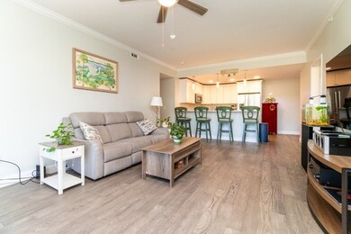 131 Eliot St unit 305, Milton, MA 02186 - photo 5