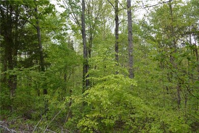 11 Jones Creek Rd, Dickson, TN 37055 - photo 3