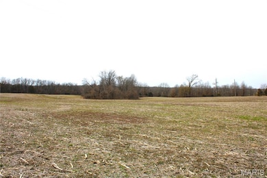 875 W Monroe St, Paris, MO 65275 - photo 3