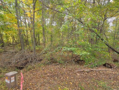 TBD Fairlake Ln, Laurel Fork, VA 24352 - photo 6