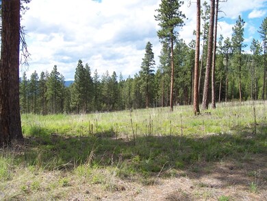 Nhn Tranquil Valley Trail, Kila, MT 59920 - photo 3