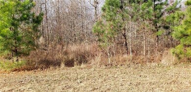 7535 Rolling Hill Rd, North Prince George, VA 23860 - photo 5