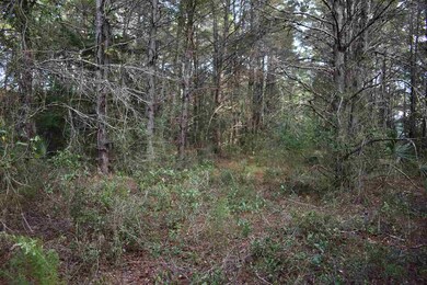 0 Sea Meadows Dr unit 312713, Perry, FL 32348 - photo 3