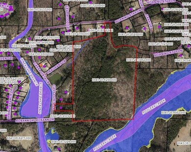 Flood Map - very small section of SE corner appears to be in floodway.  It should not affect development.
