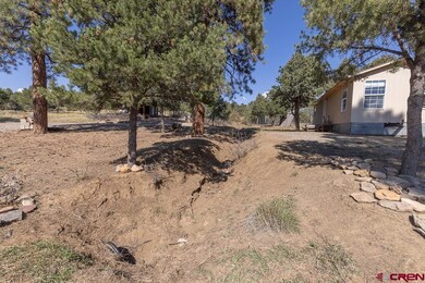 540 D Bar K Dr, Durango, CO 81301 - photo 5