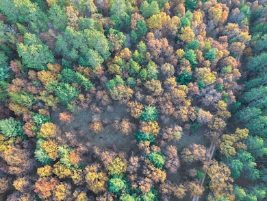 001 Old Highway 10, Fairchild, WI 54741 - photo 3