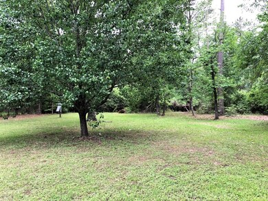 29927 Brownsville St, Magnolia, TX 77354 - photo 3