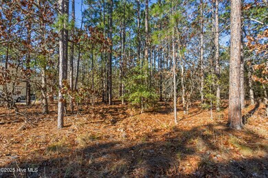 Cherokee Dr L-103, Boiling Spring Lakes