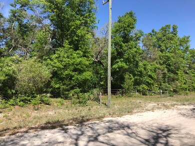 141 Indian Trail, Florahome, FL 32140 - photo 2