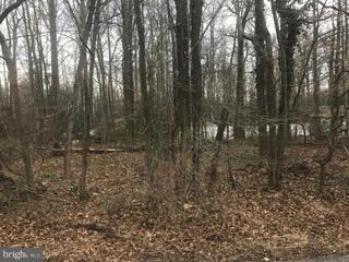 0 Branhum Rd, Selby-On-the-bay, MD 21037 - photo 6