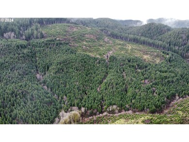 0 Logsden Rd, Logsden, OR 97357 - photo 6