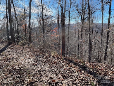 9999-1 Nesbitt Chapel Rd, Fairview, NC 28730 - photo 3