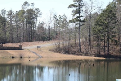 51 Bells Ln unit 51, Vincent, AL 35178 - photo 2