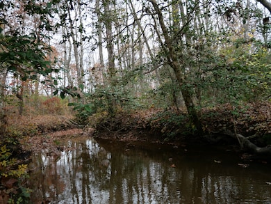 0 Tennessee 108, Altamont, TN 37301 - photo 2