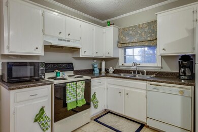 White Cabinets and Neat Window Overlooks the Expansive Back Yard