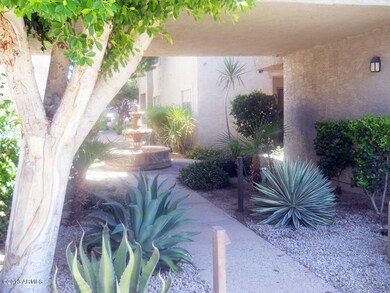 Court Yard