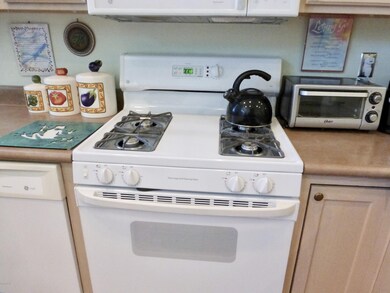 Gas Stove