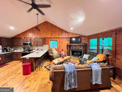 450 Mull Valley Rd, Morganton, GA 30560 - photo 5