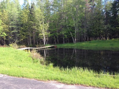 Pond In yard
