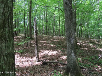 0 Mt Lebanon unit 100339333, Troy, NC 27371 - photo 2