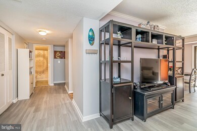 9 Suntop Ct, Baltimore, MD 21209 - photo 4