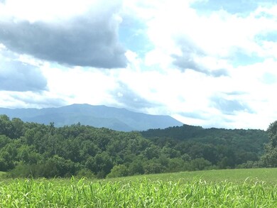 VIEW FROM BACK/WRAPAROUND PORCH