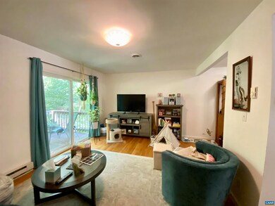 1218 Holmes Ave unit A & B, Charlottesville, VA 22901 - photo 5