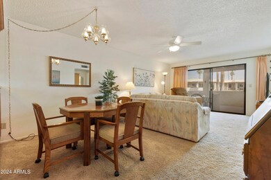 Dining & Living Room