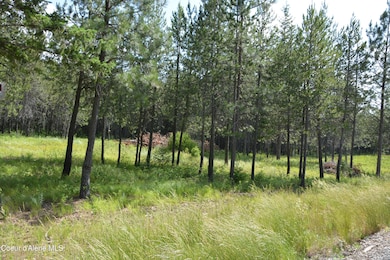 NKA Sylvan, Athol, ID 83801 - photo 3