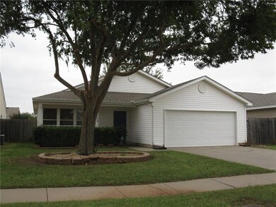The mature tree and landscaping in the front yard 