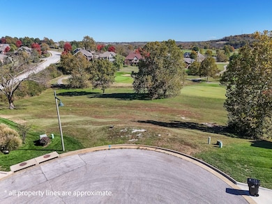 3182 W Bluffview St, Springfield, MO 65810 - photo 7