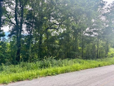 8946 Anderson Rd, Adams Run, SC 29426 - photo 2